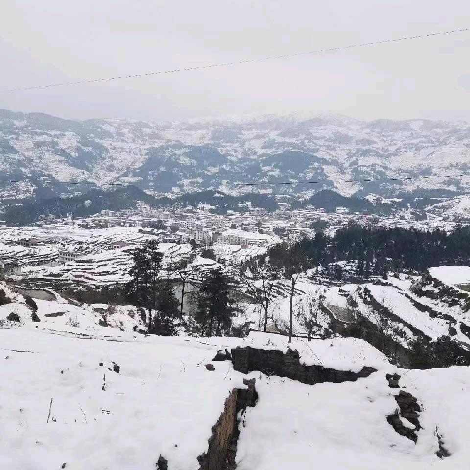敏忘阴
