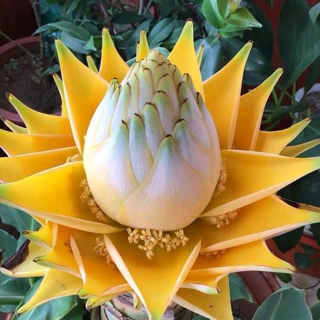 领悟