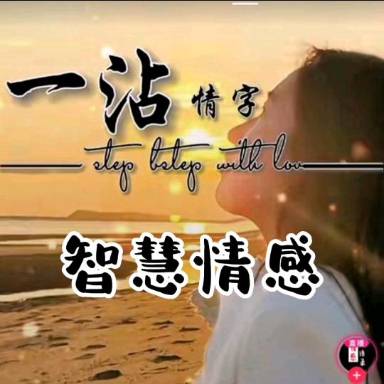 智慧情感（励志）