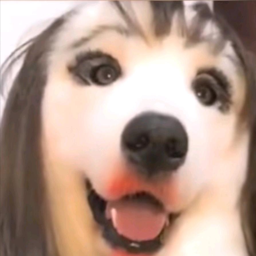 我不会