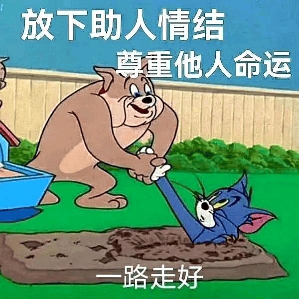 汤圆圆又圆