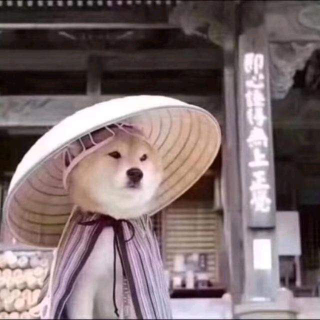 看啊头像
