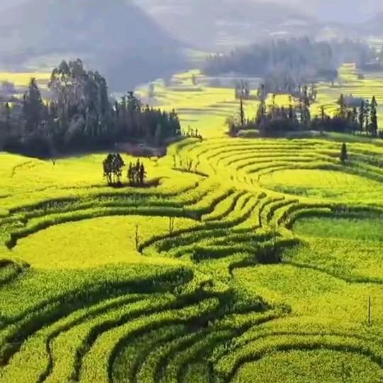 💞云中鹤💞Love（低谷期）