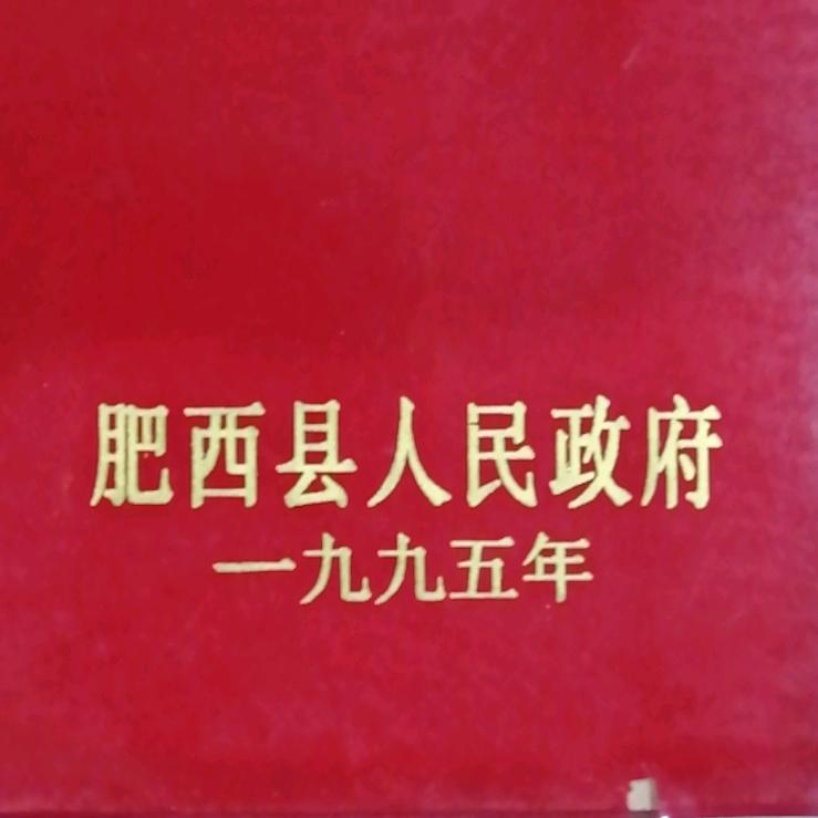 一杆走天下 🎣钓鱼  钓虾  钓王八