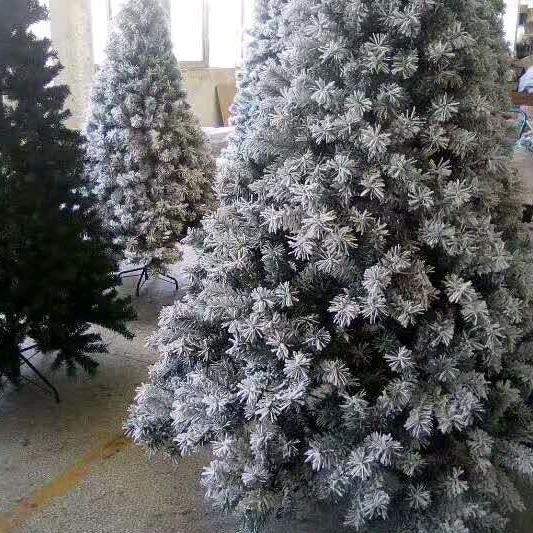 阳光。