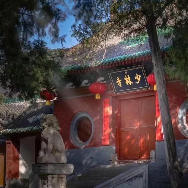 运动启动未来 搏击小焦