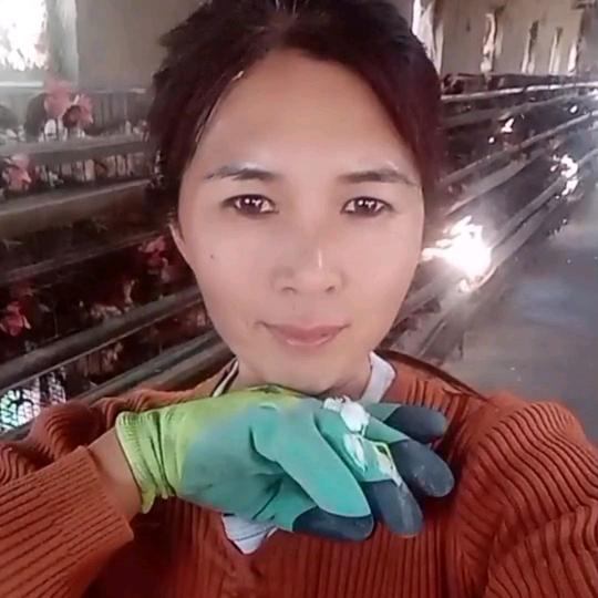 王艳梅