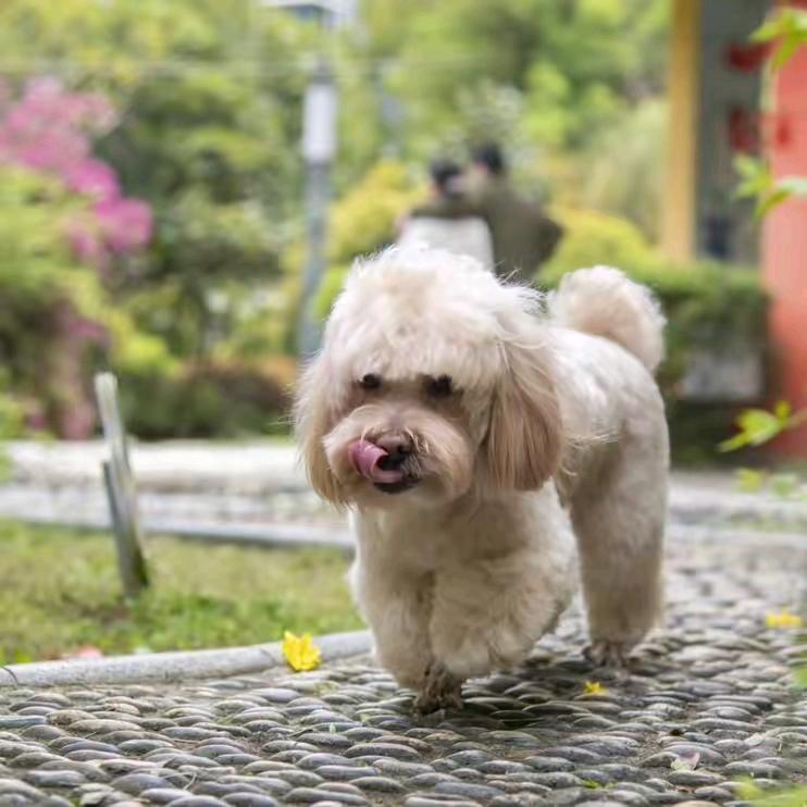 翘二郎腿的女神