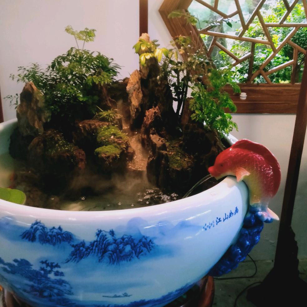 天天好心情