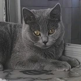 通辽化妆师阳阳