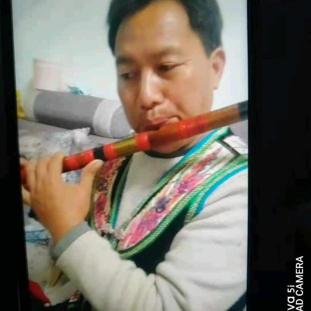 杨红