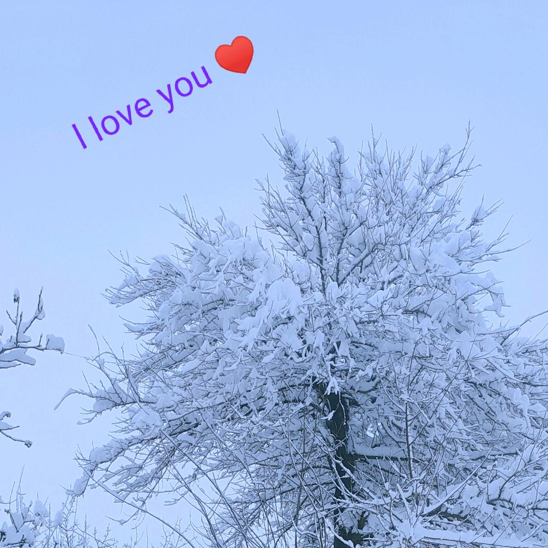 开♥心♥果！
