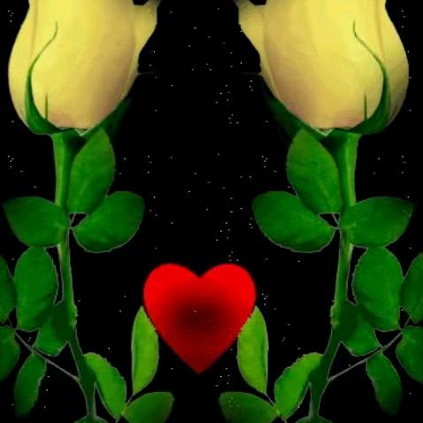 用户1415570933200顺其自然