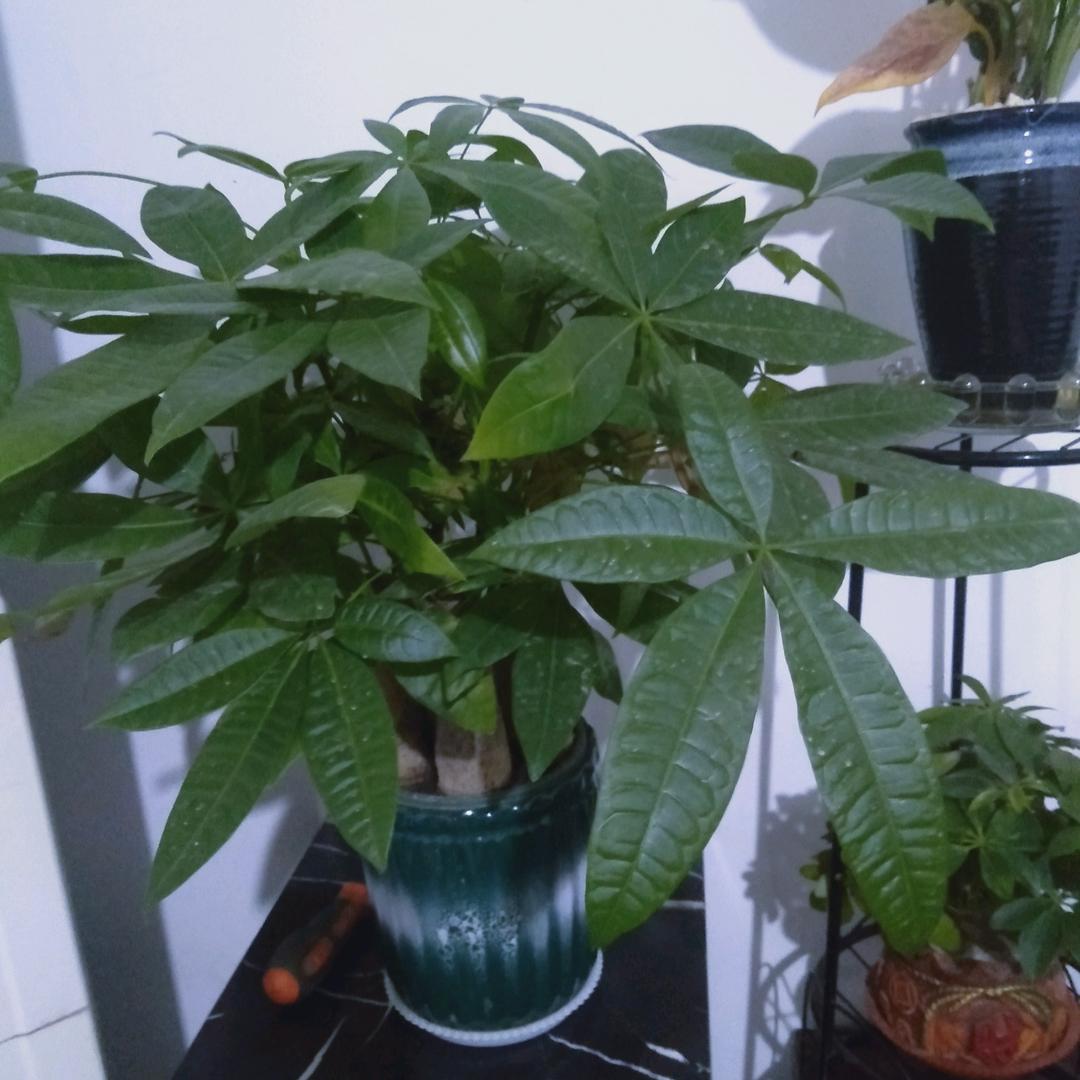 用户开心每一天