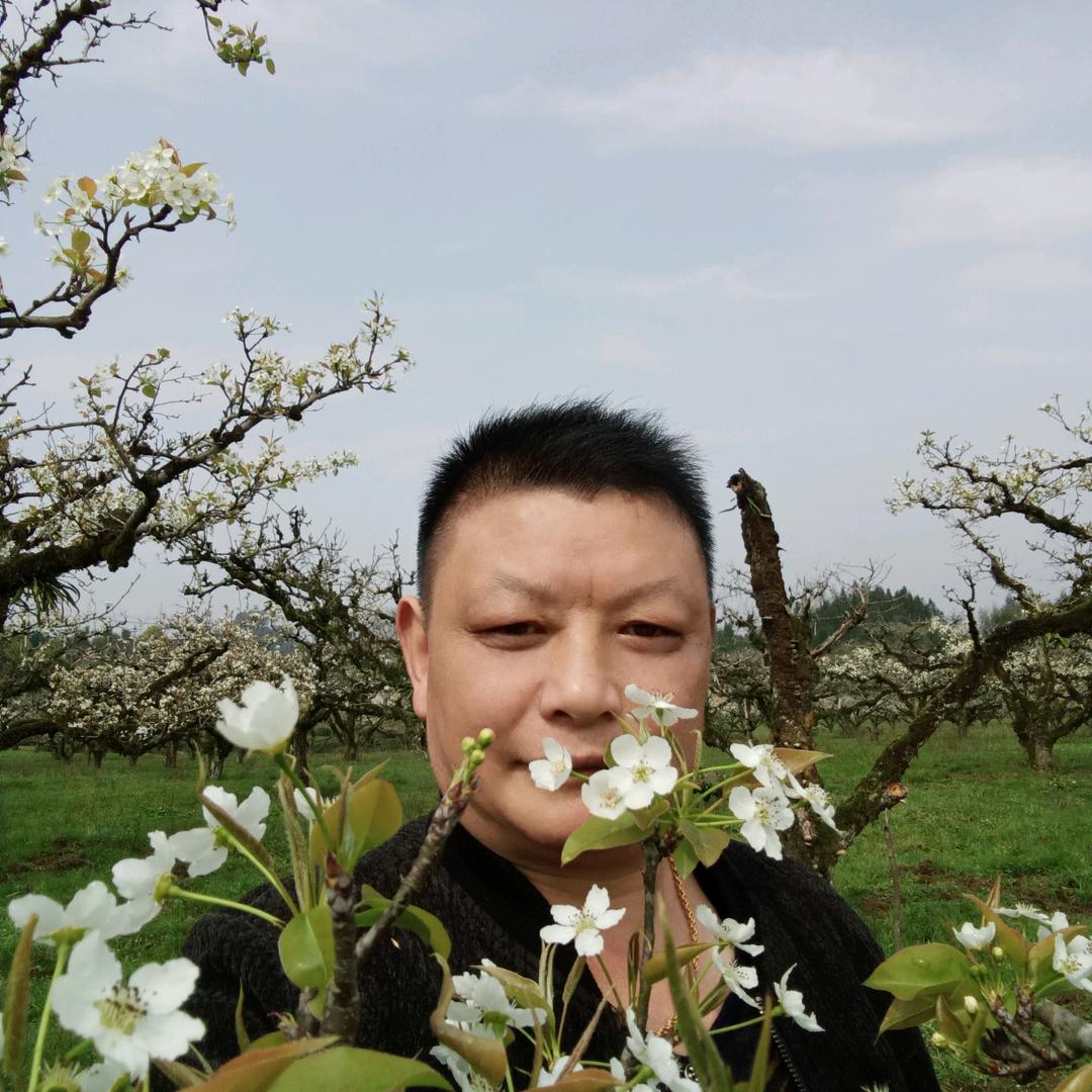 邱
