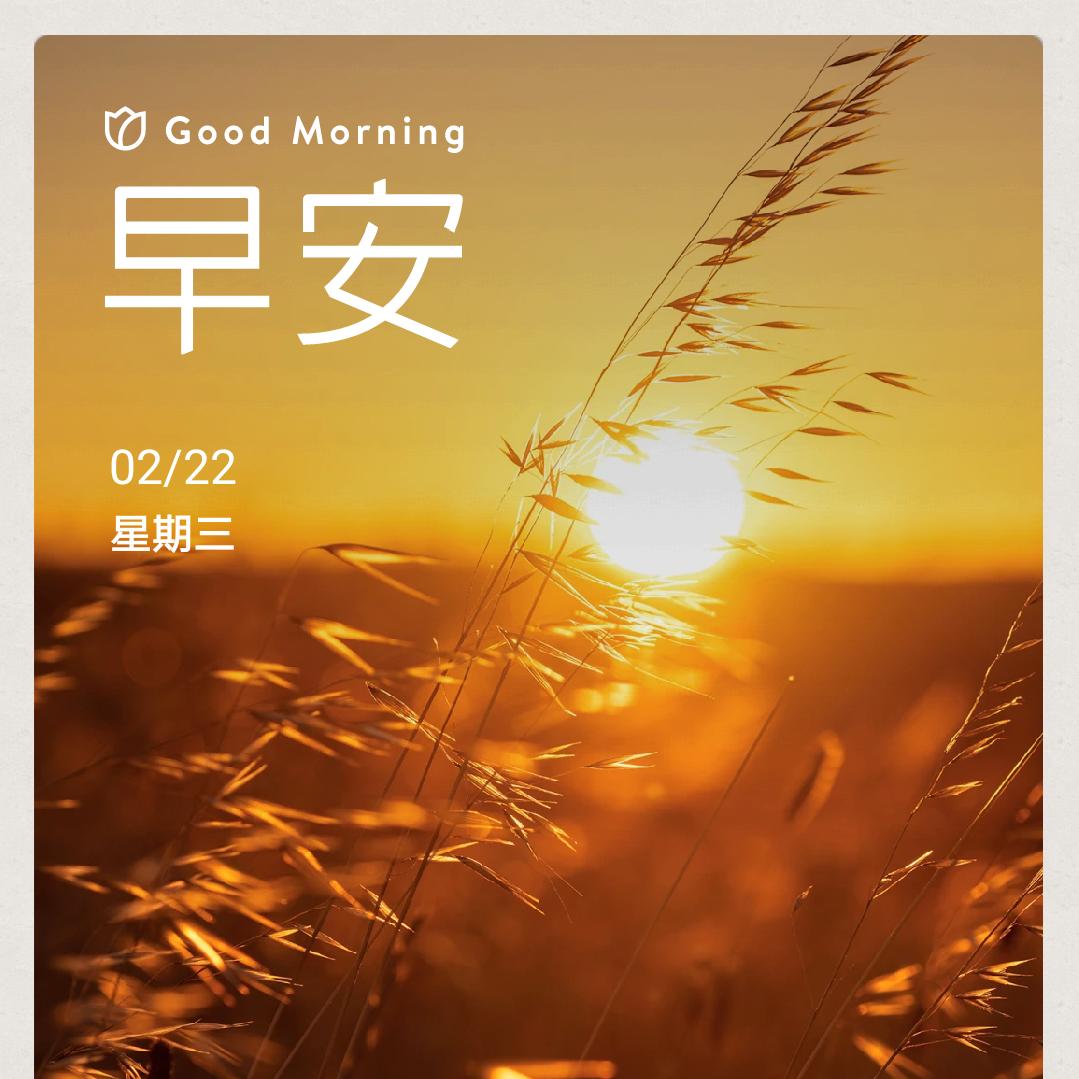 。。。。。。。，，，