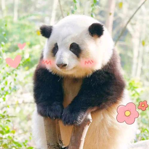 行下春风望夏雨☘️