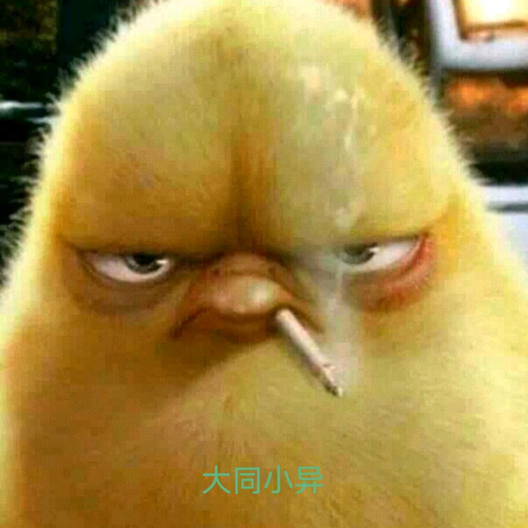大同小异