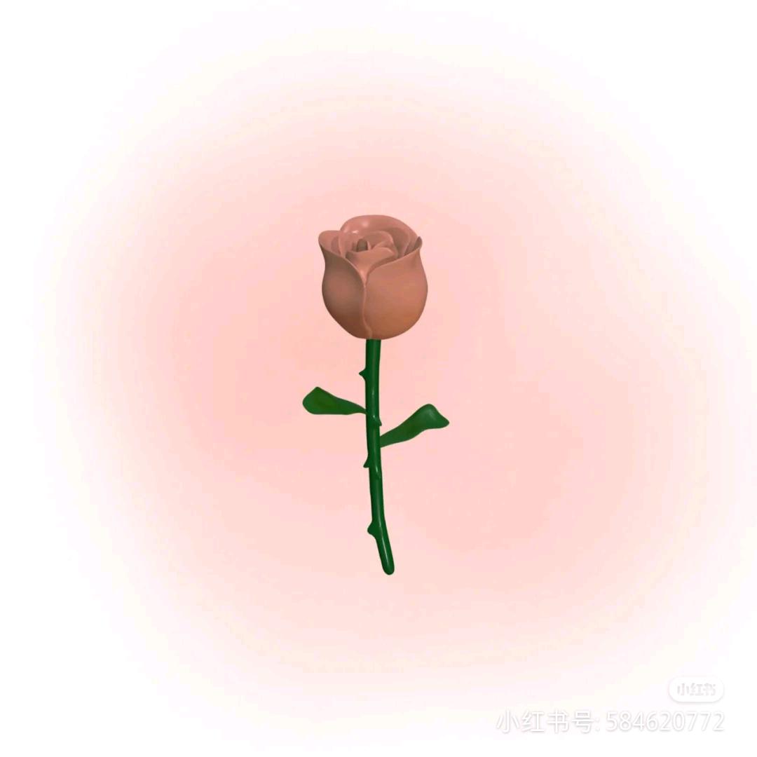鹤姐好物