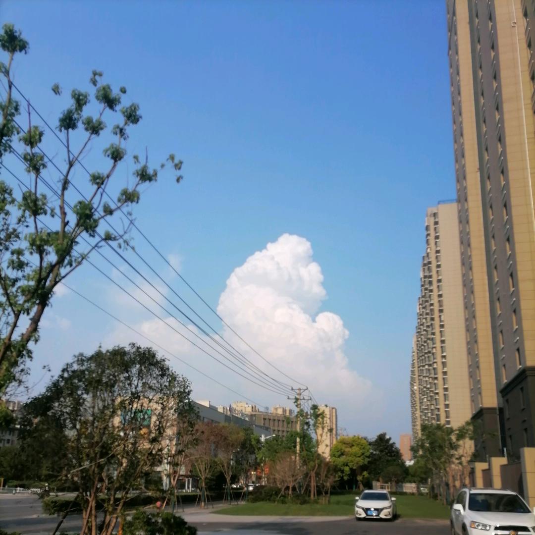 日常小迷糊