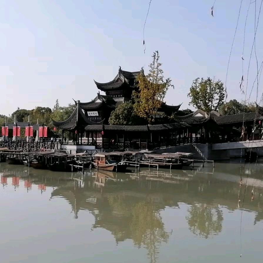 老鼠爱大米