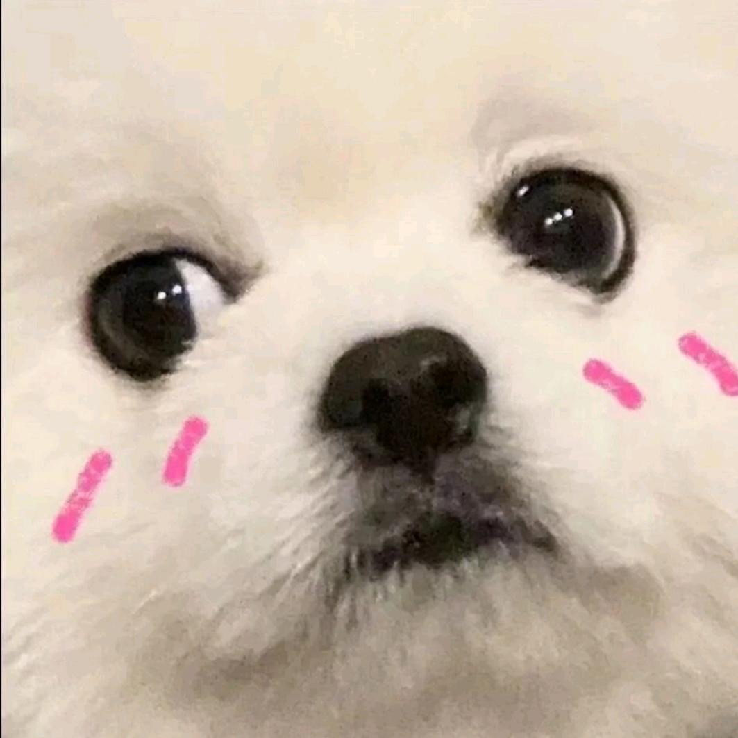 灰灰