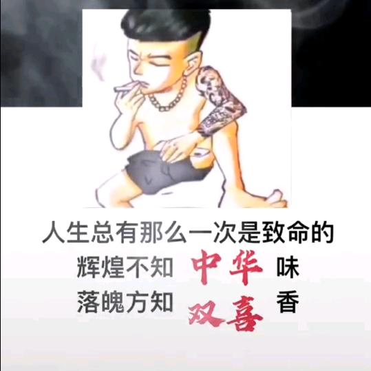 秦清豪