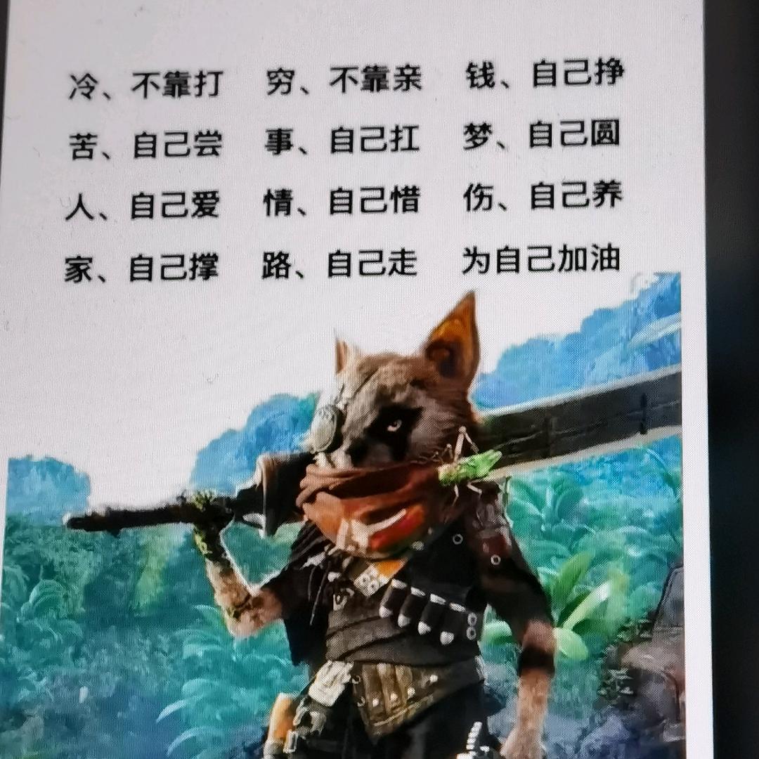 TS雷