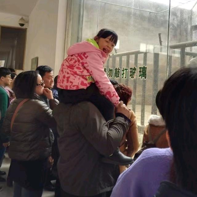 灌个饼
