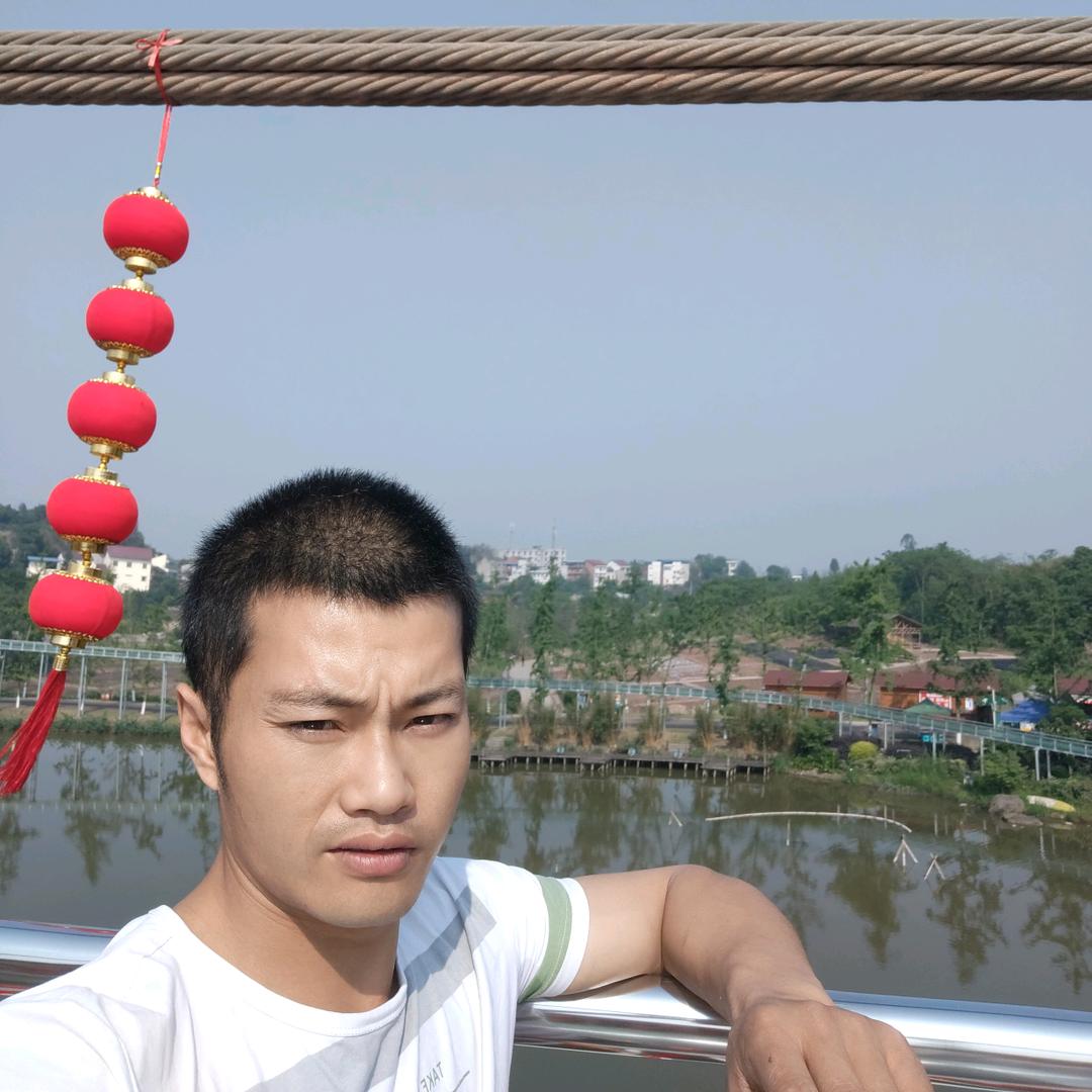 走走停停