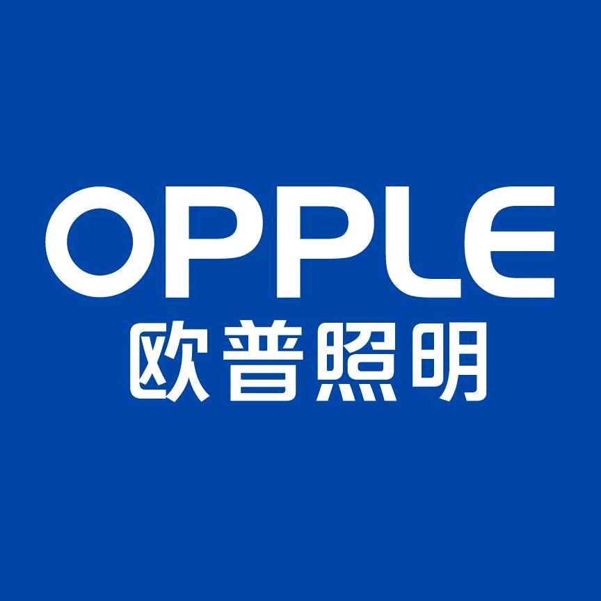 欧普照明（石首店）