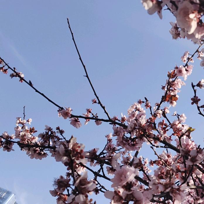 祝你好运（拒私聊）