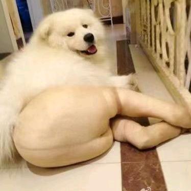 没错我是年轻人😍