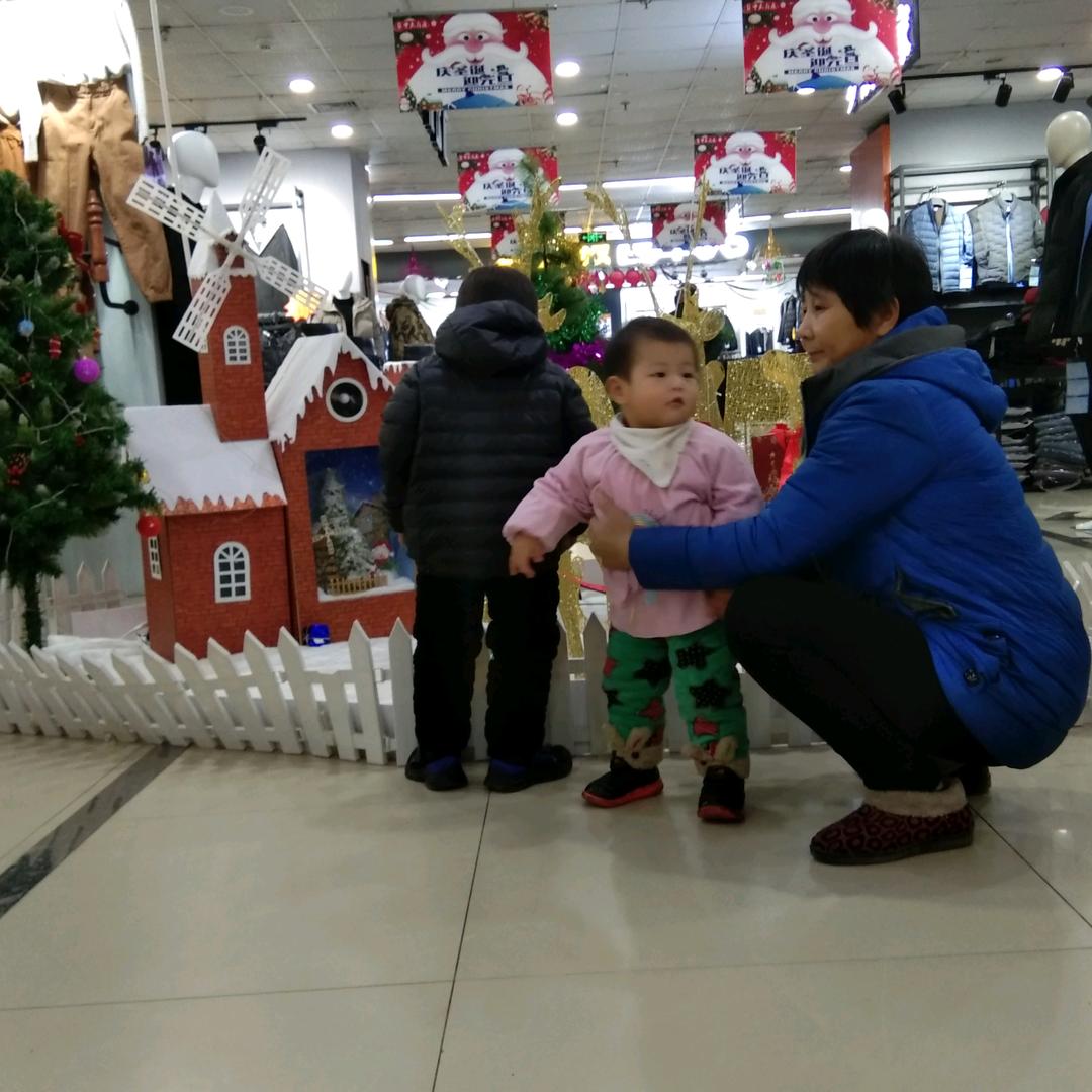 王新菊