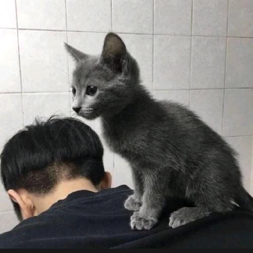 宝贝我的旺仔呢