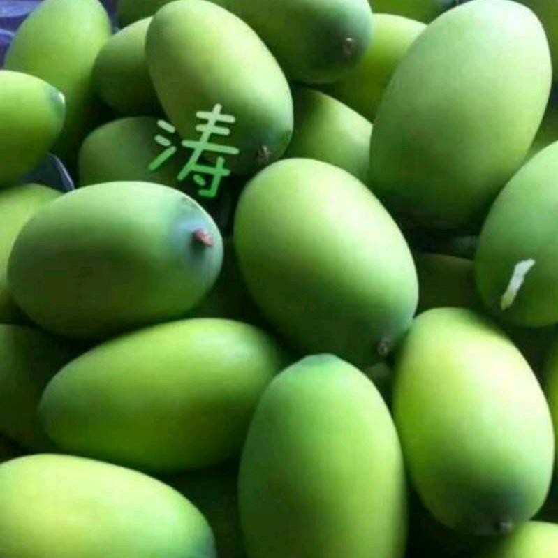 涛