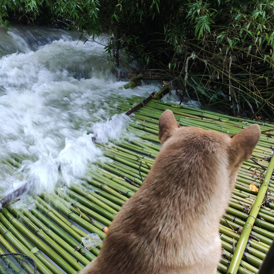 荔波富民村镇银行 阿文