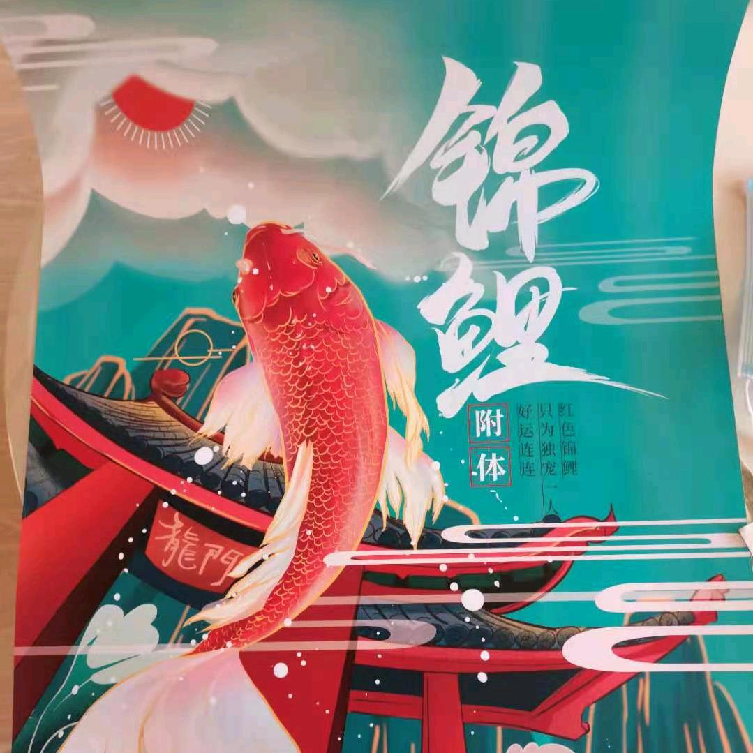 富贵💰有余🐠