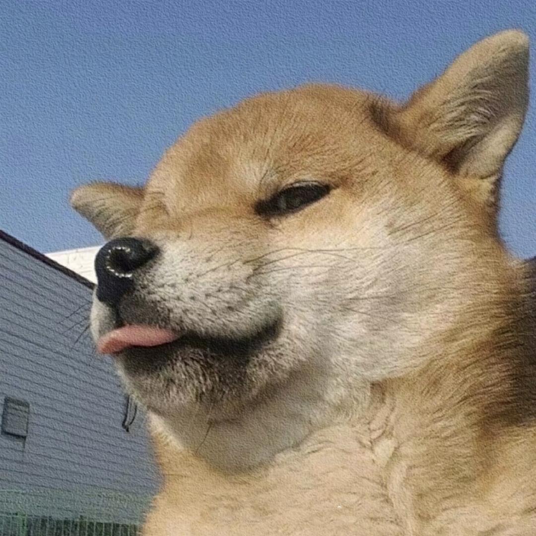 一人一城头像