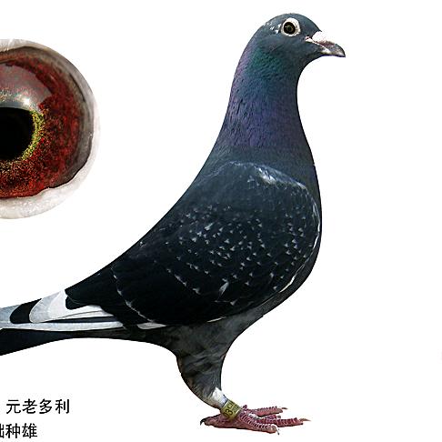 皓晨轩
