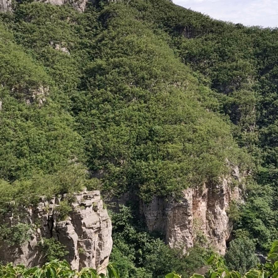 亚马逊