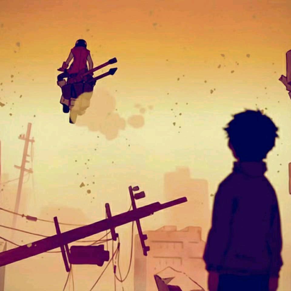 枫、