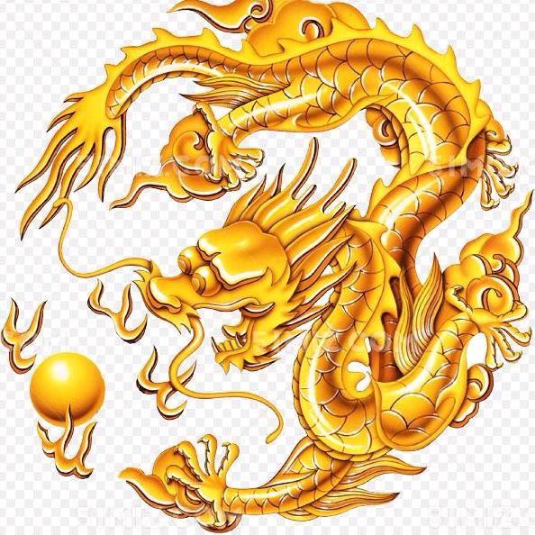 中国龙的动态简谱