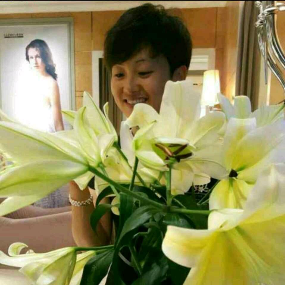 赵葫芦画瓢