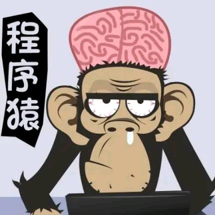 程序员老孙（直接私信）