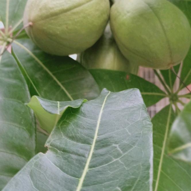 心情好什么都好