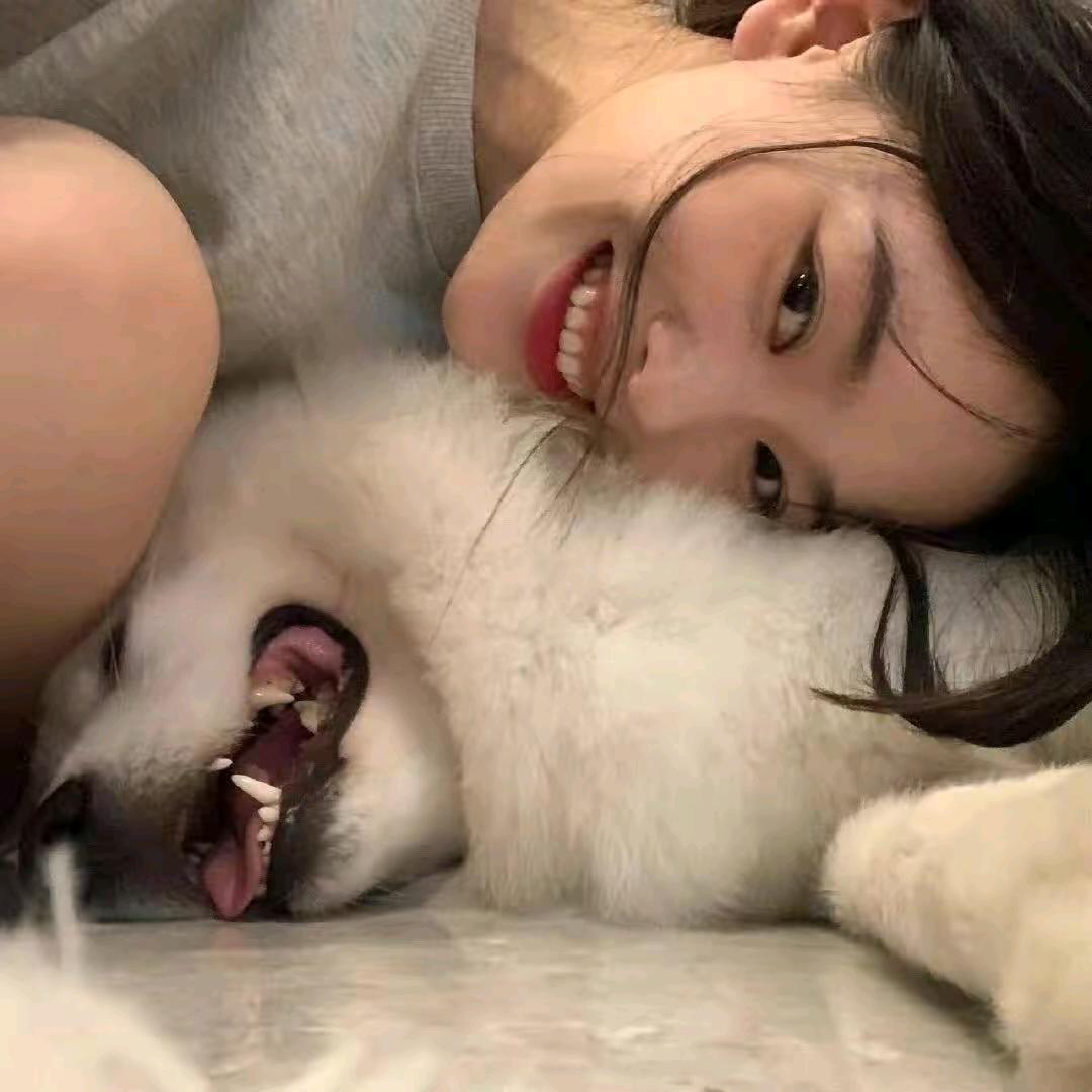 菠萝不吹雪