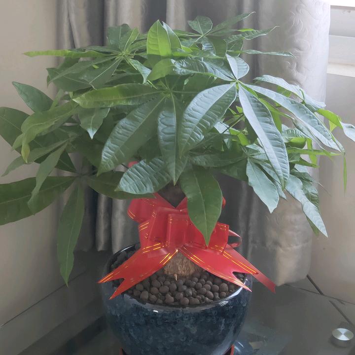 手机用户247335_