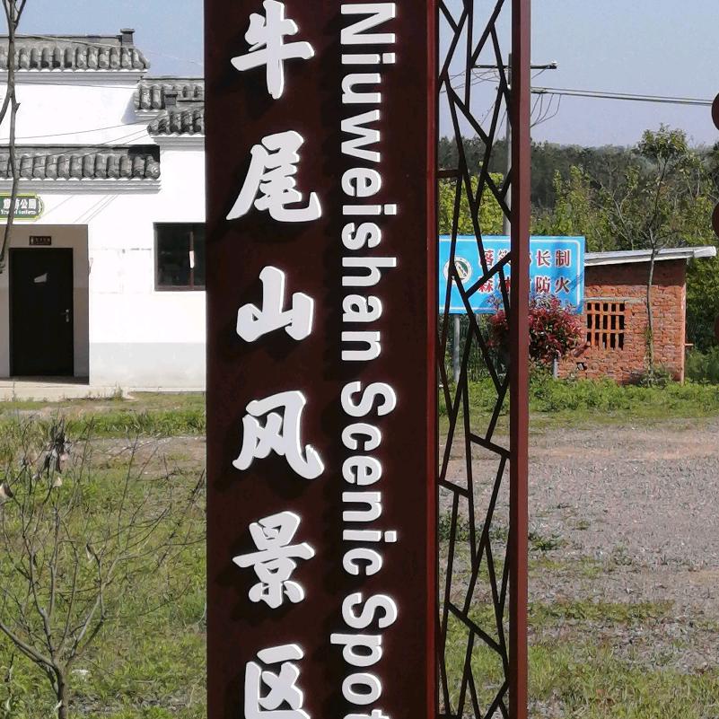 肥西土老帽