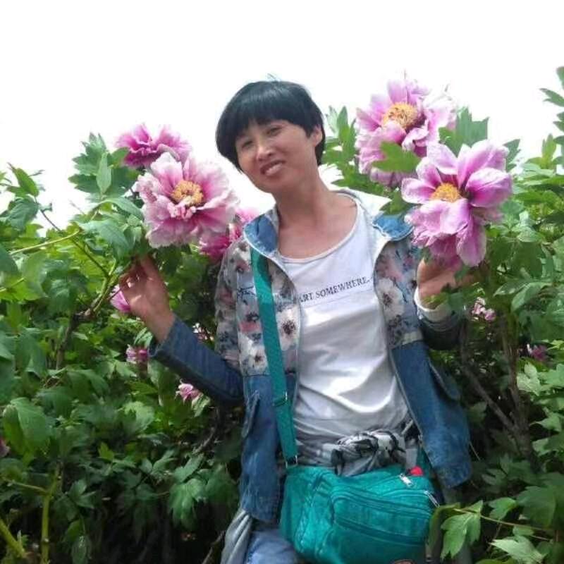 商丘高铁市场8栋8